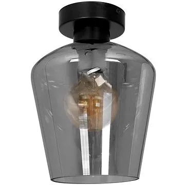 Stropní svítidlo SANTIAGO 1xE27/60W/230V černá (120858)