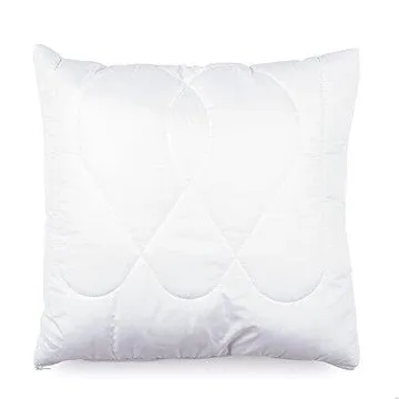 Brotex Polštářek Aloe Vera 40×40cm se zipem (61440)