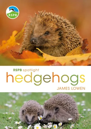 RSPB Spotlight Hedgehogs - James Lowen