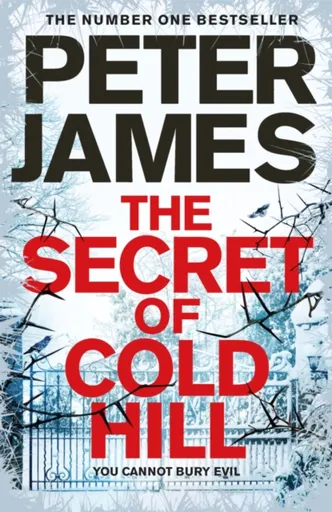 The Secret of Cold Hill - Peter James