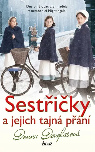 Sestřičky a jejich tajná přání - Donna Douglasová
