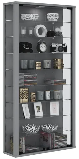 VCM Nástěnná vitrína Vitrosa maxi s LED osvětlením, stříbrná