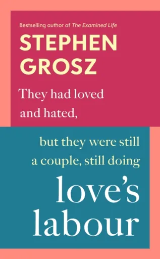 Loveâ€™s Labour - Stephen Grosz