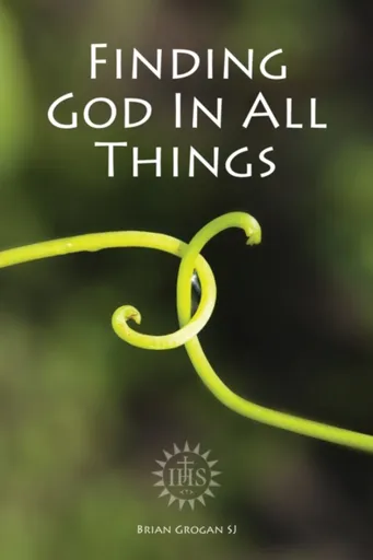 Finding God in All Things - Brian  Grogan