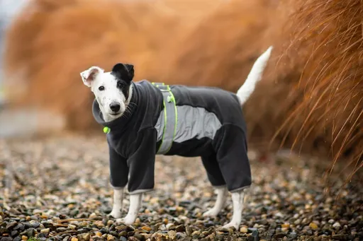 Vsepropejska Mazlík elastická fleecová kombinéza pro psa Barva: Šedá, Délka zad (cm): 40, Obvod hrudníku: 42 - 57 cm