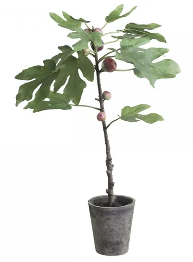 Dekorace umělý Fíkovník v keramickém květináči Old - 76cm Chic Antique