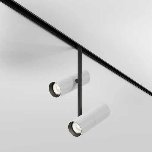 MAYTONI Svítidlo do kolejnice Elti Duo Exility 2700-6000K 24W 36d Dim Smart TR005-4-2X12W-DS-BW