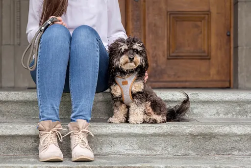 CURLI Postroj pro psy Alpine Light Gray 3XS, 1,5-3 kg