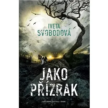 Jako přízrak  (978-80-7244-473-1)