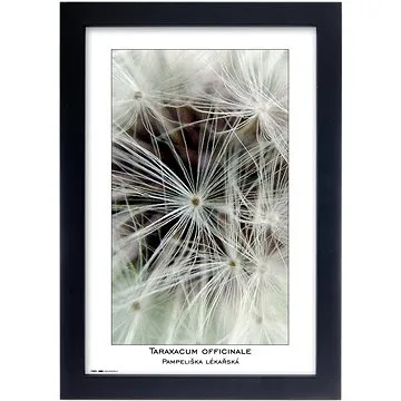 TRADAG Natura 20 x 30 černý (2520_3001)