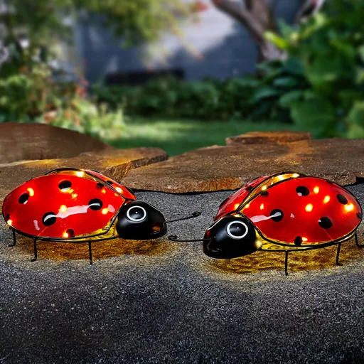 1 solární osvětlení Beruška