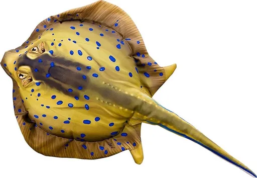 Gaby Polštář Trnucha mini - 50 cm,Gaby Polštář Trnucha mini - 50 cm