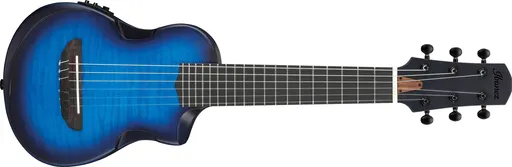 Ibanez AUP10FMNE Transparent Blue Sunburst