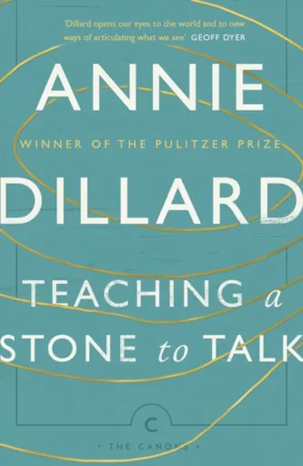 Teaching a Stone to Talk - Annie Dillard
