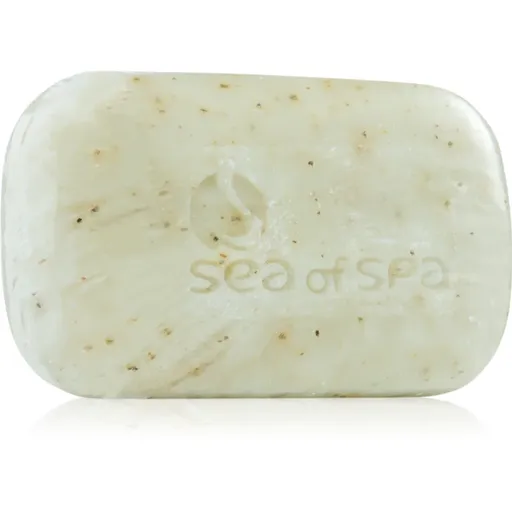 Sea of Spa Dead Sea Treatment tuhé mýdlo s mořskými řasami 125 g