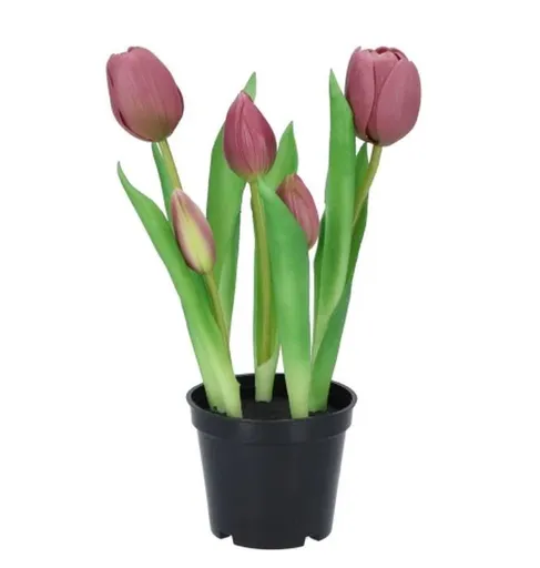 5ks světle fialový realistický tulipán Tulips v květináčku - Ø 8*7/ 26 cm daan kromhout