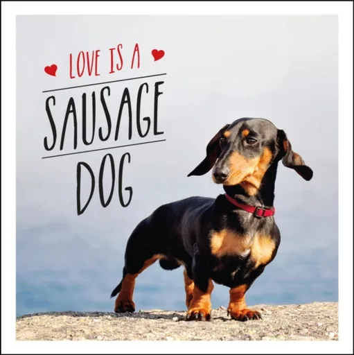 Love is a Sausage Dog - Ellis Charlie