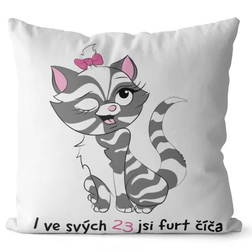 Polštář Jsi číča (Velikost: 55 x 55 cm, věk: 23)