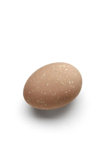 Dekorace vajíčko 2ks, barva kávová - COOEE