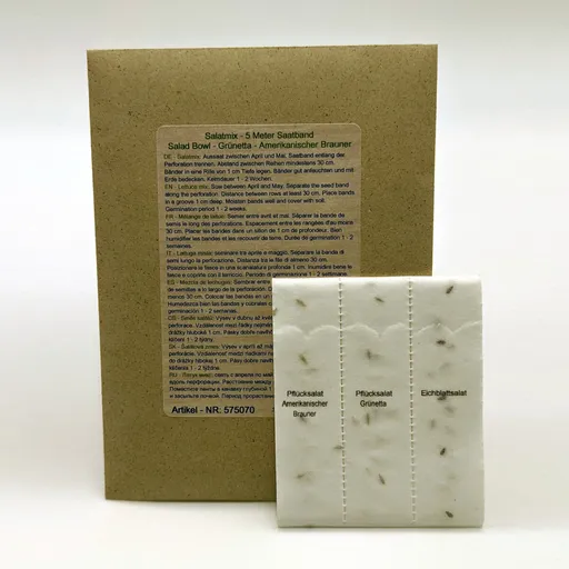 Výsevní pás Salát mix