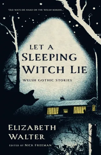 Let a Sleeping Witch Lie - Elizabeth Walter