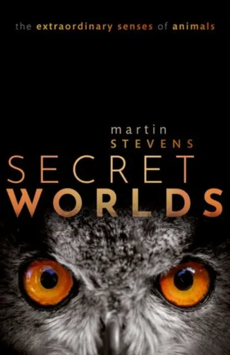 Secret Worlds - Martin  Stevens