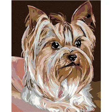 Diamondi - Diamantové malování - JORKŠÍRKA, 40x50 cm, bez rámu a bez vypnutí plátna (602216A)