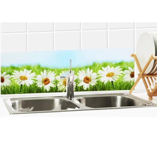 Fólie za kuchyňskou linku Kopretiny