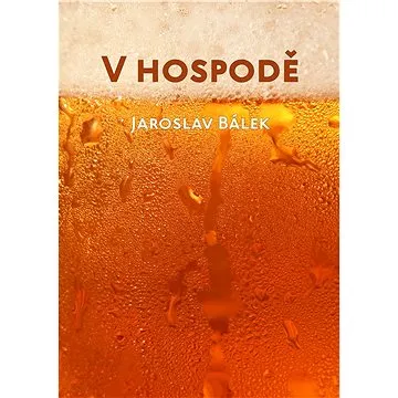 V hospodě (999-00-036-7067-0)