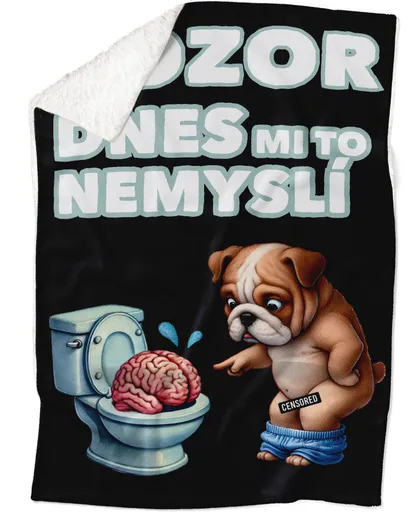 Deka Dnes mi to nemyslí (Podšití beránkem: ANO)