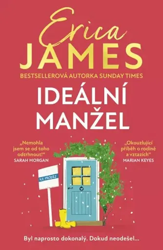 Ideální manžel - Erica James