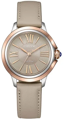 Citizen Eco-Drive L EM1166-01Z