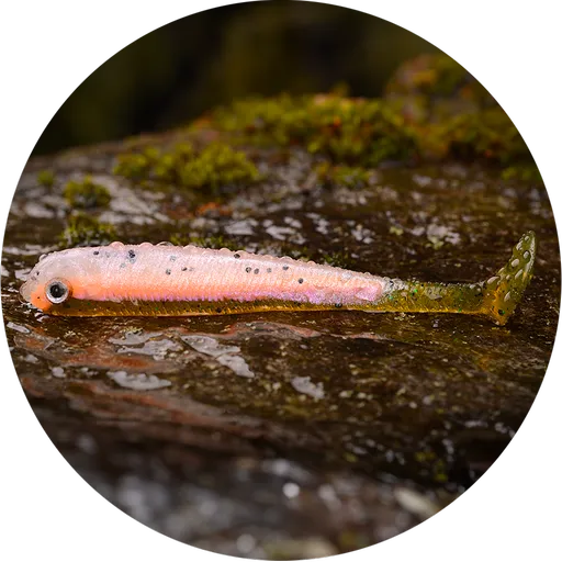 Redbass gumová nástraha ripper swimmer slim rainbow trout uv - xl 125 mm