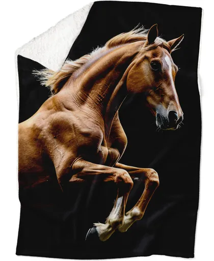 Deka Hnědý kůň (Podšití beránkem: ANO)