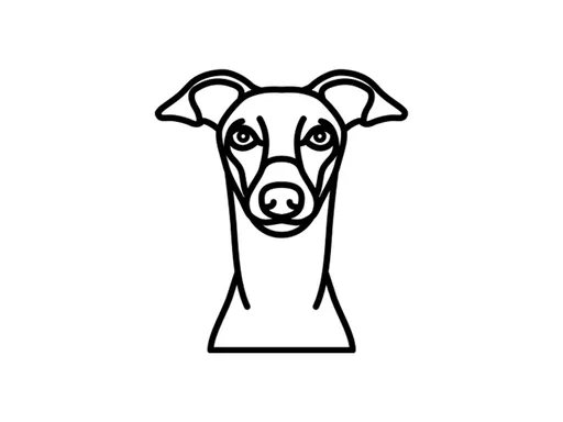 Vsepropejska Psí dekorace na zeď Plemeno: Chrt