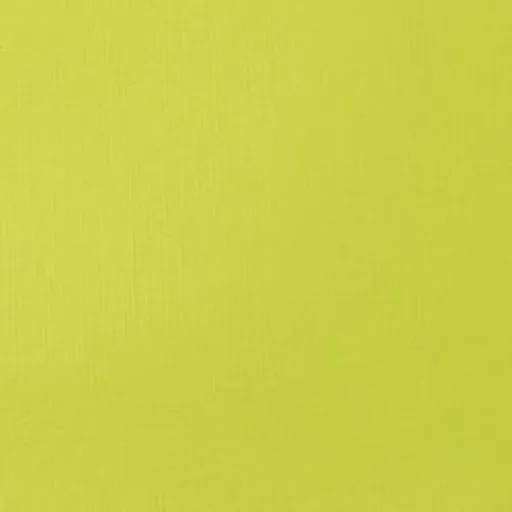 Akrylová barva Basics 22ml – 840 brilliant yellow green