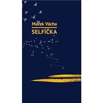 Selfíčka (978-80-7295-265-6)
