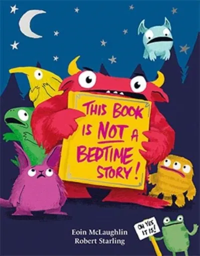 This Book is Not a Bedtime Story - Eoin McLaughlin