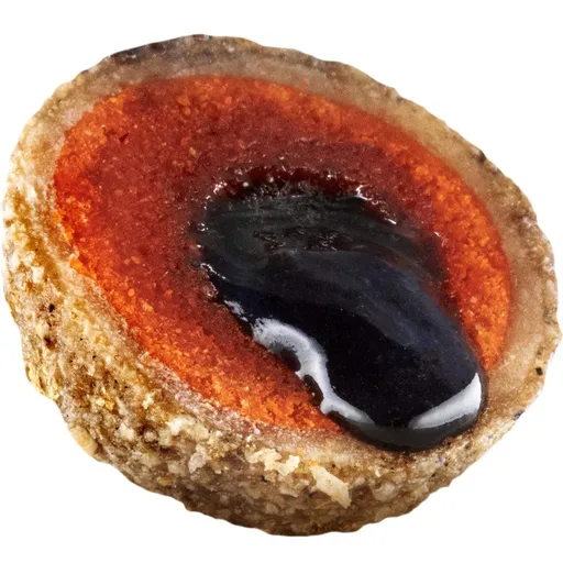 LK Baits Nutrigo Plankton,LK Baits Nutrigo Plankton