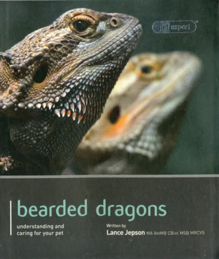 Bearded Dragon - Pet Expert - Lance Jepson