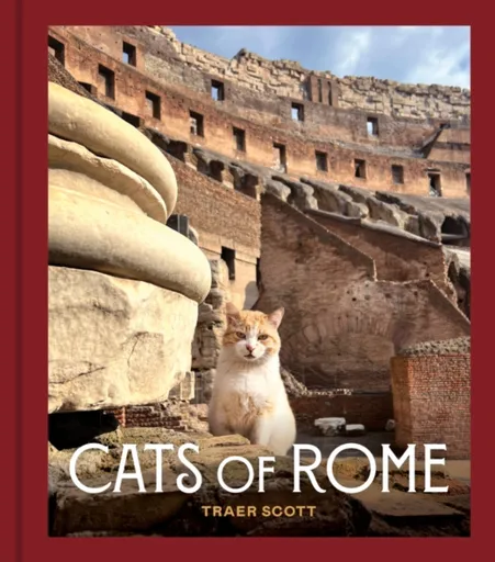 Cats of Rome - Scott Traer