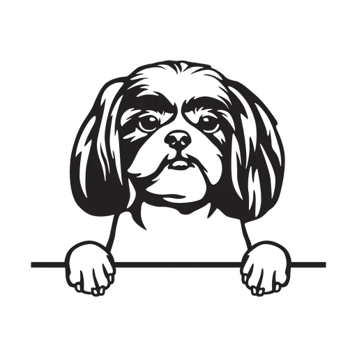 Vsepropejska Shih-tzu 4 dřevěná dekorace na zeď Rozměr (cm): 38 x 30