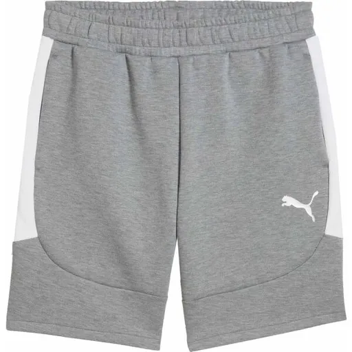 Puma TEAMEVOSTRIPE SHORTS Pánské šortky, šedá, velikost