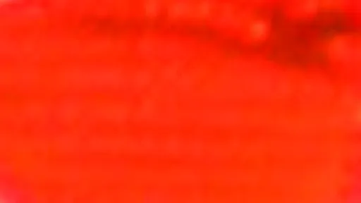 Akrylová barva Phoenix 75ml – 324 Rumělka