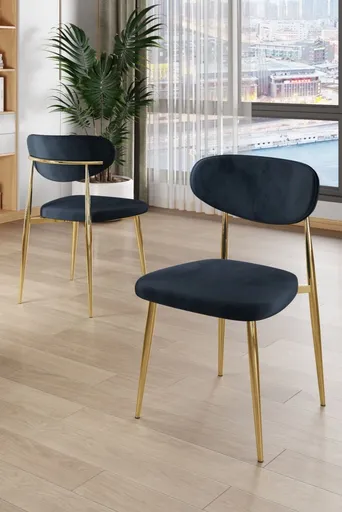 Sada židlí (4 kusy) Vina - Anthracite, Gold