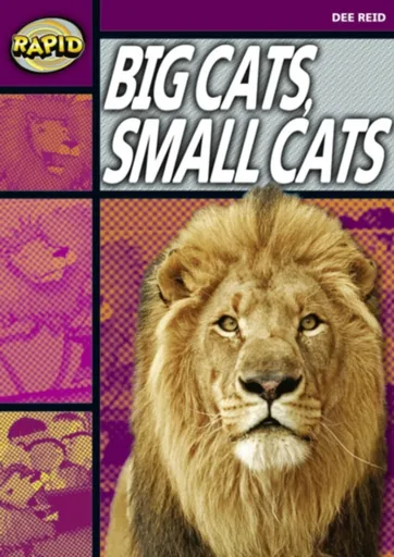 Rapid Reading: Big Cats Small Cats (Stage 1, Level 1A) - Dee Reid