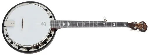 Deering Artisan Goodtime Two Banjo
