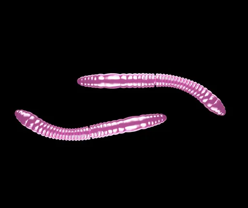 Libra Lures Fatty D’Worm Pink Pearl - D’Worm 6,5cm 10ks,Libra Lures Fatty D’Worm Pink Pearl - D’Worm 6,5cm 10ks