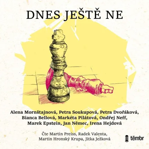Dnes ještě ne - Jan Němec, Petra Soukupová, Bianca Bellová, Markéta Pilátová, Ondřej Neff, Petra Dvořáková, Marek Epstein, Alena Mornštajnová, Irena H