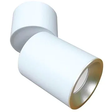 Stropní bodové svítidlo ASTRA 1xGU10/10W/230V (109084)